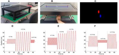 Synchrony in Joint Action Is Directed by Each Participant’s Motor Control System